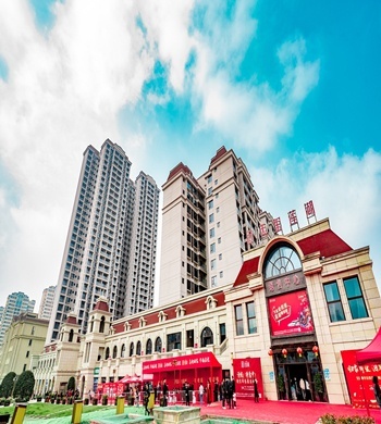 四川鼎能房地產(chǎn)開發(fā)