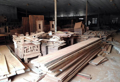 東方神龍蔣乾軍 以穩健經營之道，深耕寵物用品批發